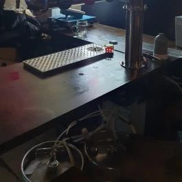 Cool club Szeged - Egyéb