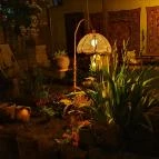 Cooltour Café Szeged - Külső kép