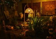 Cooltour Café Szeged