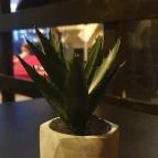 Corso Cafe Paks - Egyéb