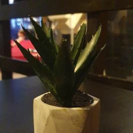 Corso Cafe, Paks - Egyéb