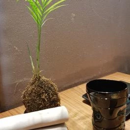 Costes Downtown Budapest - Belső