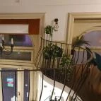 Crane Ramen Budapest - Egyéb