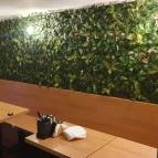 Crane Ramen Budapest - Egyéb