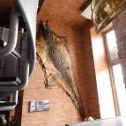 Croco Cafe Debrecen - Belső