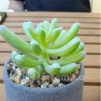 Csakhal Bisztró - Nagyerdő Debrecen - Egyéb