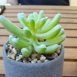 Csakhal Bisztró - Nagyerdő, Debrecen - Egyéb