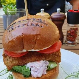 Csakhal Bisztró - Nagyerdő, Debrecen - Egyéb