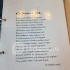 Csalánosi Csárda Kecskemét - Egyéb