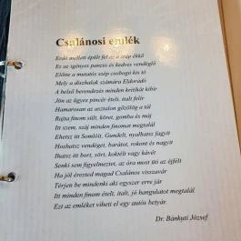 Csalánosi Csárda, Kecskemét - Egyéb