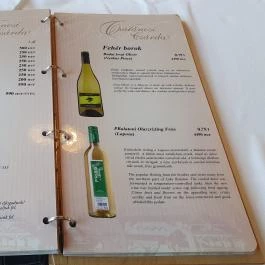 Csalánosi Csárda, Kecskemét - Egyéb