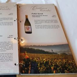 Csalánosi Csárda, Kecskemét - Egyéb