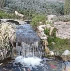 Csalánosi Csárda Kecskemét - Egyéb