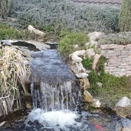 Csalánosi Csárda, Kecskemét - Egyéb