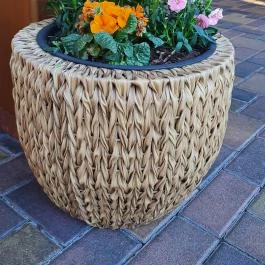 Csalánosi Csárda, Kecskemét - Egyéb