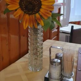 Csaplár Vendéglő Kecskemét - Egyéb