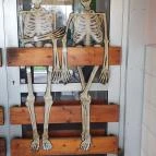 Csapszék Italbolt Debrecen - Egyéb