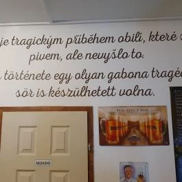 CSEHvegő Érd - Egyéb