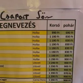CSEHvegő Érd - Egyéb