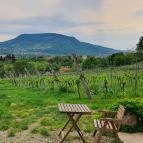 Csendes Dűlő Borterasz Badacsonyörs - Egyéb