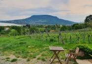 Csendes Dűlő Borterasz Badacsonyörs