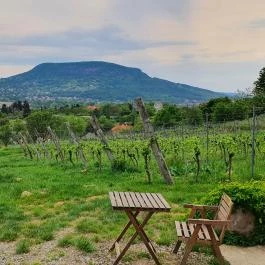 Csendes Dűlő Borterasz Badacsonyörs - Egyéb