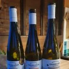 Csendes Dűlő Borterasz Badacsonyörs - Egyéb