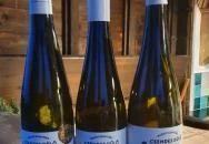 Csendes Dűlő Borterasz Badacsonyörs