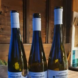 Csendes Dűlő Borterasz Badacsonyörs - Egyéb