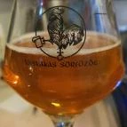 Cserebogár Zamat Bár Nagykanizsa - Egyéb