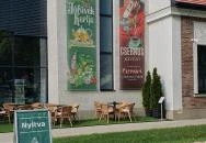 Csernus Kávézó Kondoros