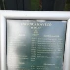 Csernus Kávézó Kondoros - Egyéb