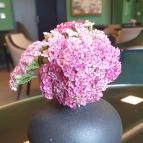 Csernus Kávézó Kondoros - Egyéb