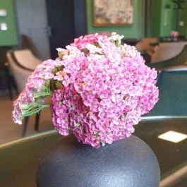 Csernus Kávézó, Kondoros - Egyéb