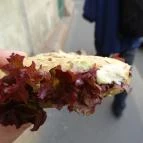 Cserpes Tejivó - Corvin köz Budapest - Étel/ital