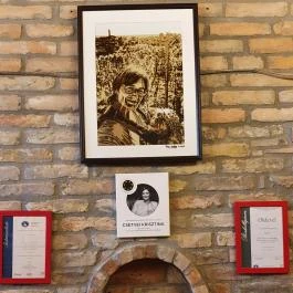 Csetvei Pincészet, Mór - Egyéb