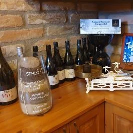 Csetvei Pincészet, Mór - Egyéb