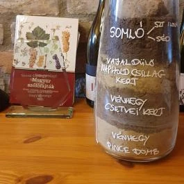 Csetvei Pincészet, Mór - Egyéb