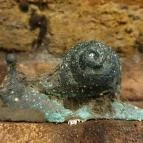 Csetvei Pincészet Mór - Egyéb