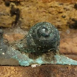 Csetvei Pincészet, Mór - Egyéb