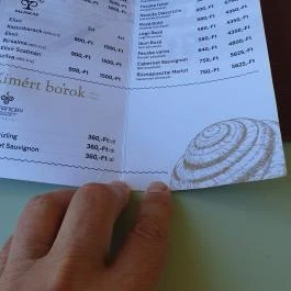 Csigaház Kisvendéglő Balatonföldvár - Egyéb