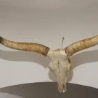 Csíki Söröző & Étterem - Mechwart Liget Budapest - Egyéb