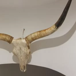 Csíki Söröző & Étterem - Mechwart Liget, Budapest - Egyéb