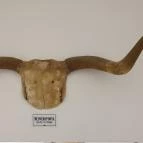 Csíki Söröző & Étterem - Mechwart Liget Budapest - Belső