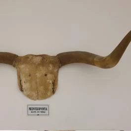 Csíki Söröző & Étterem - Mechwart Liget, Budapest - Belső