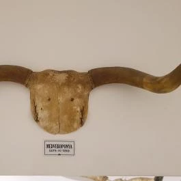 Csíki Söröző & Étterem - Mechwart Liget, Budapest - Egyéb