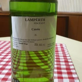 Csillag Borozó Pápa - Egyéb