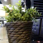 Csillag Pékség, Kávézó & Pizzéria Vecsés - Belső