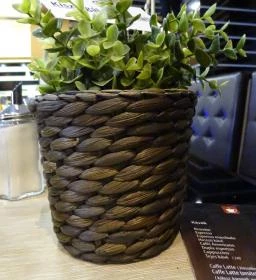 Csillag Pékség, Kávézó & Pizzéria