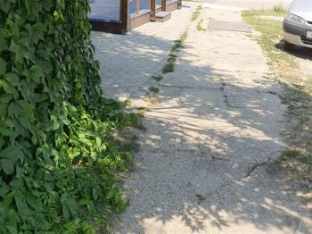 Csokoládé és Vanília Fagylaltozó Taksony Csokoládé és Vanília Fagylaltozó Taksony